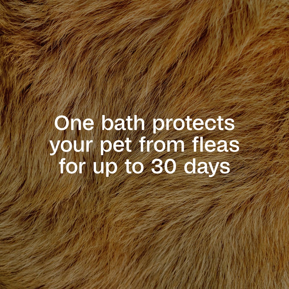 One bath protects your pet form fleas for up to 30 days