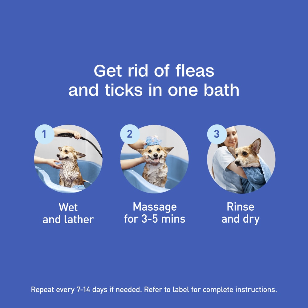 Get rid of fleas and ticks in one bath