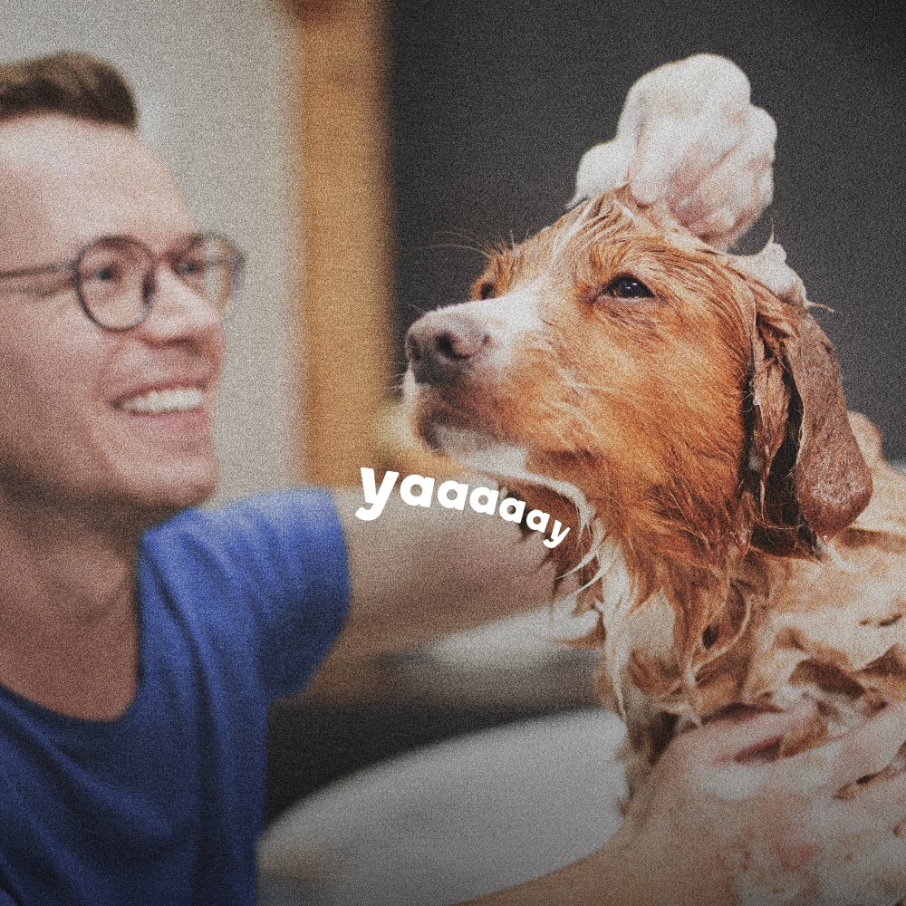 Man smiling while washing a wet dog in a bathtub