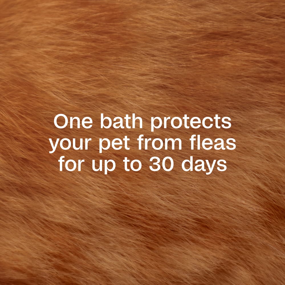 One bath protects your pet from fleas for up to 30 days