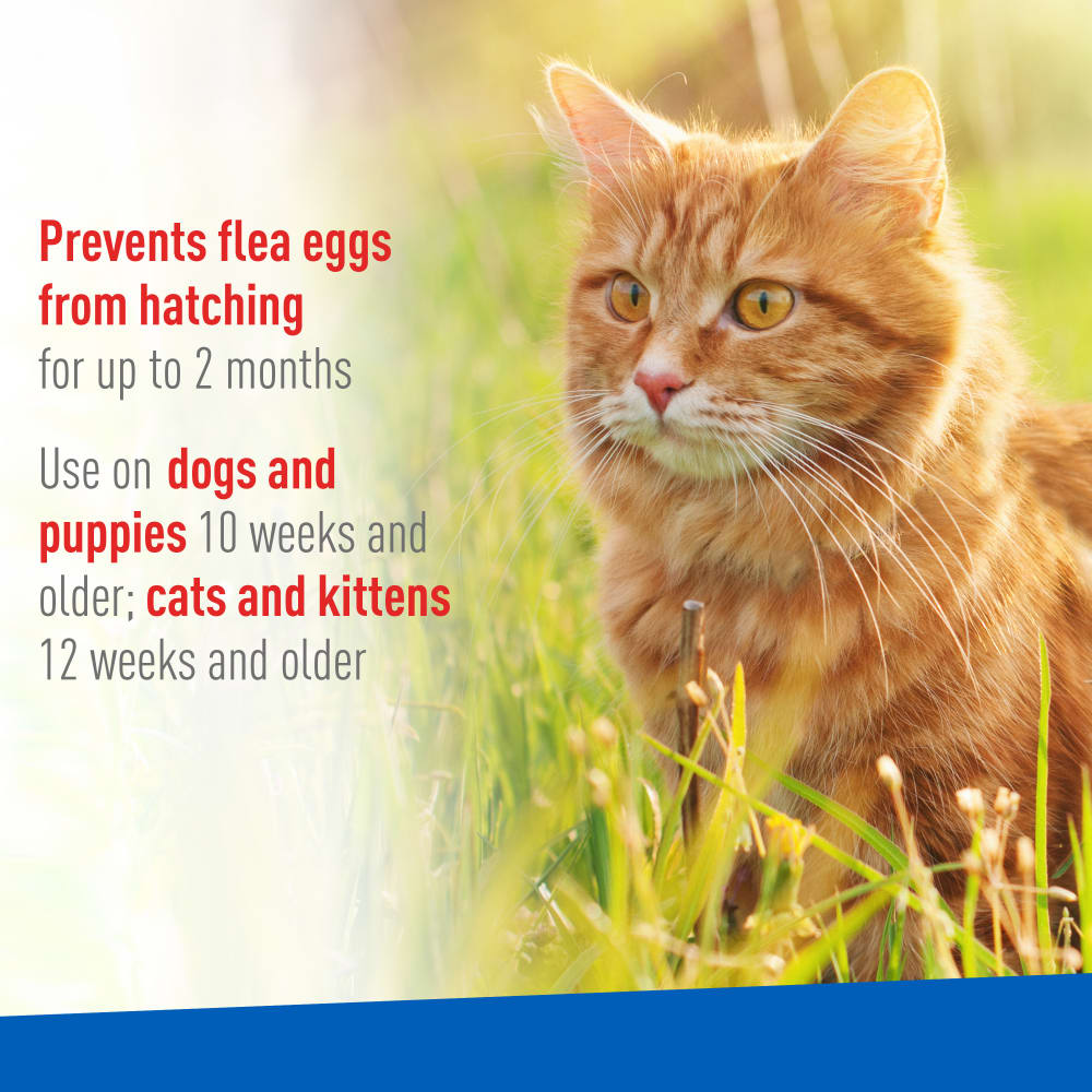 100515242-flea-tick-spray-dogs-cats-atf-pt-03