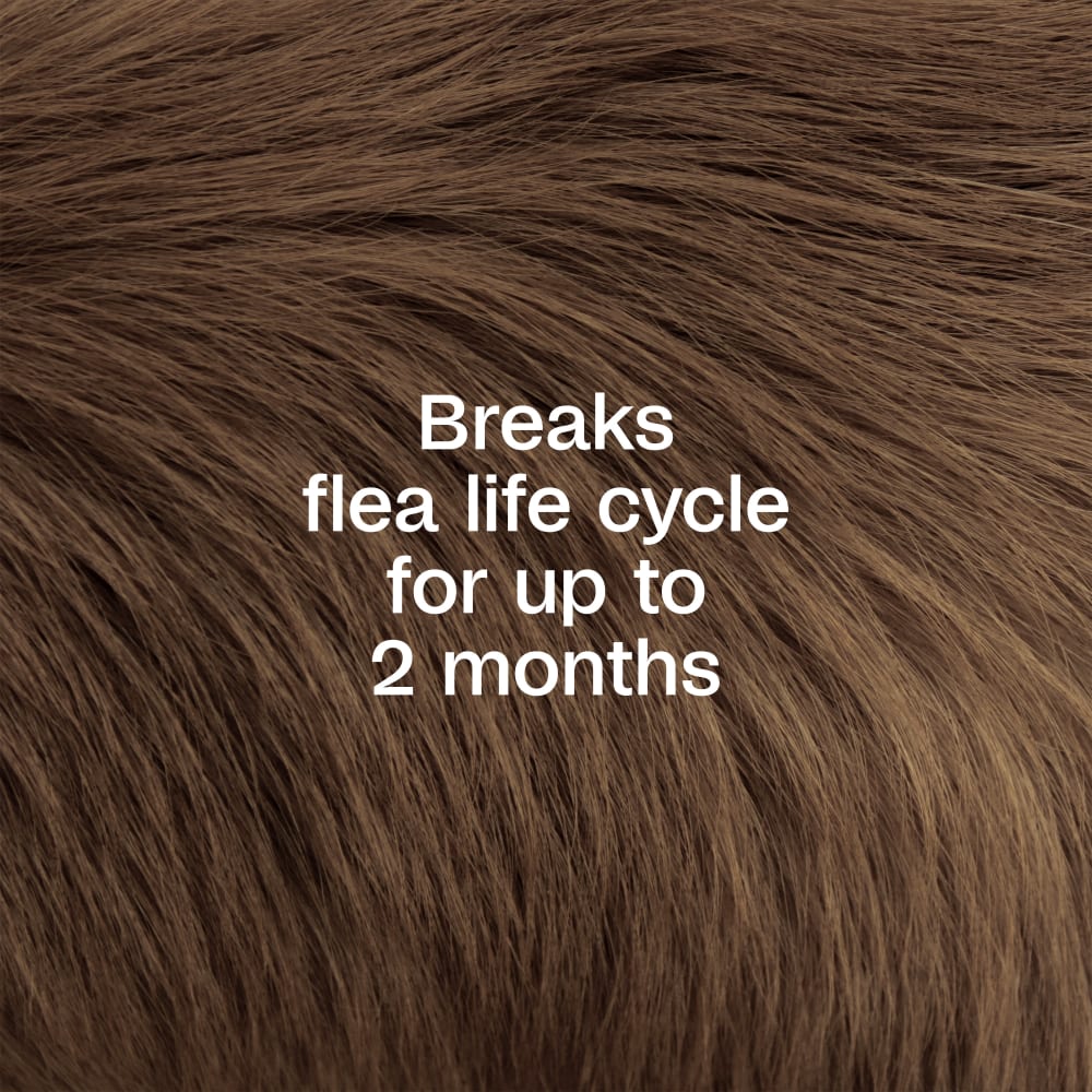 Breaks flea life cycle for up to two months