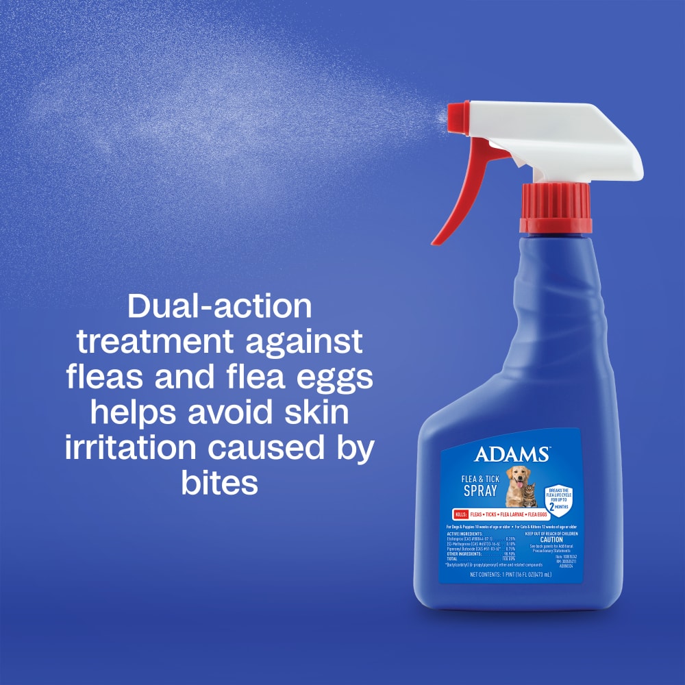 Dual action treatment against fleas and flea eggs