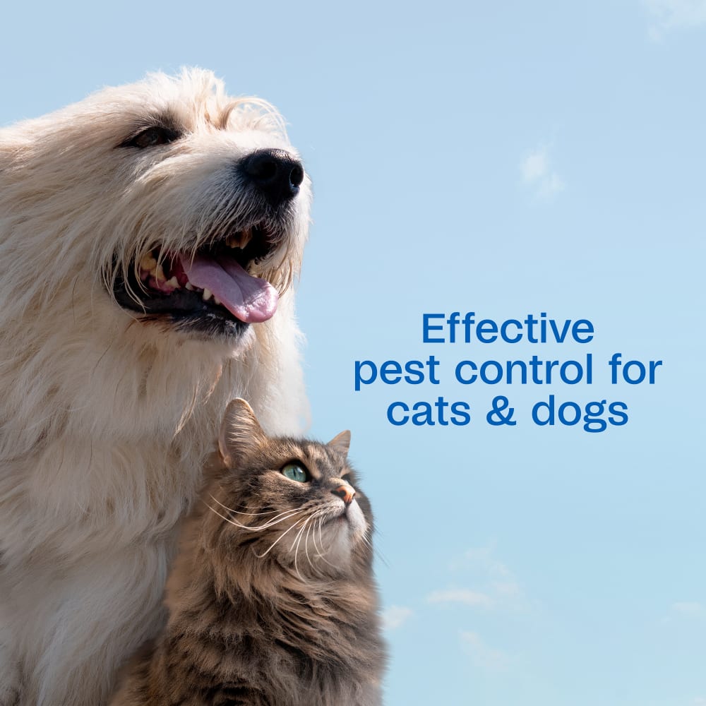 Effective pest control for cats and dogs