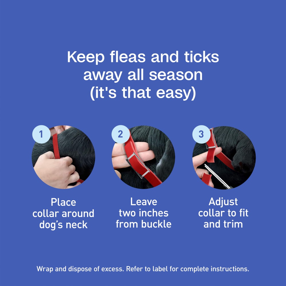 Keep fleas and ticks away all season, it is that easy