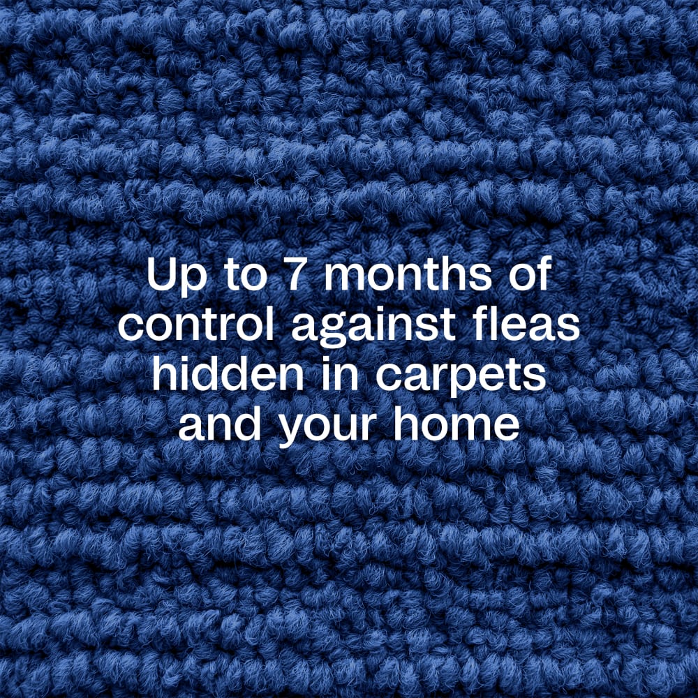 sapm100519880-infographic02