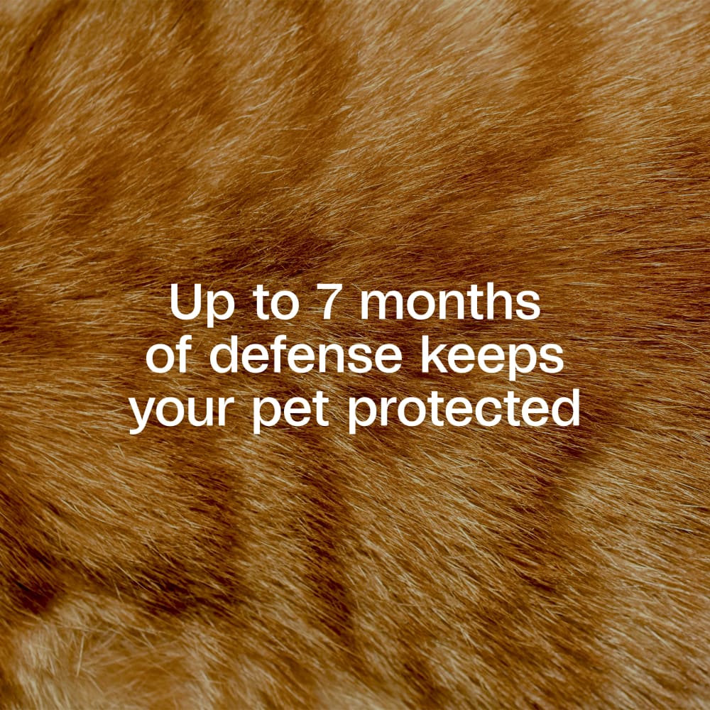 Up to 7 months of defenses keeps your pet protected