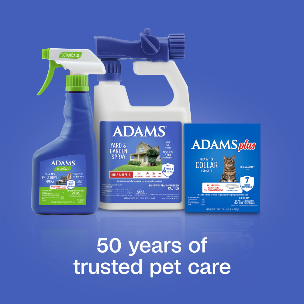 pluscollarcata-infographic05