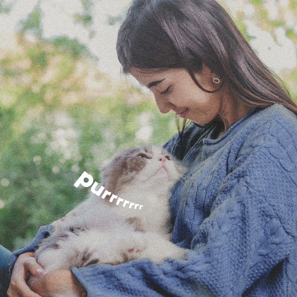 Woman hugging a fluffy cat  outdoors