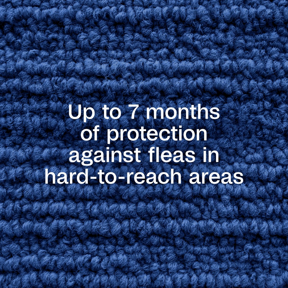 Up to seven months of protection against fleas in hard-to-reach areas