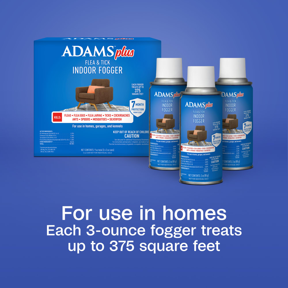 sapm100522363-infographic04