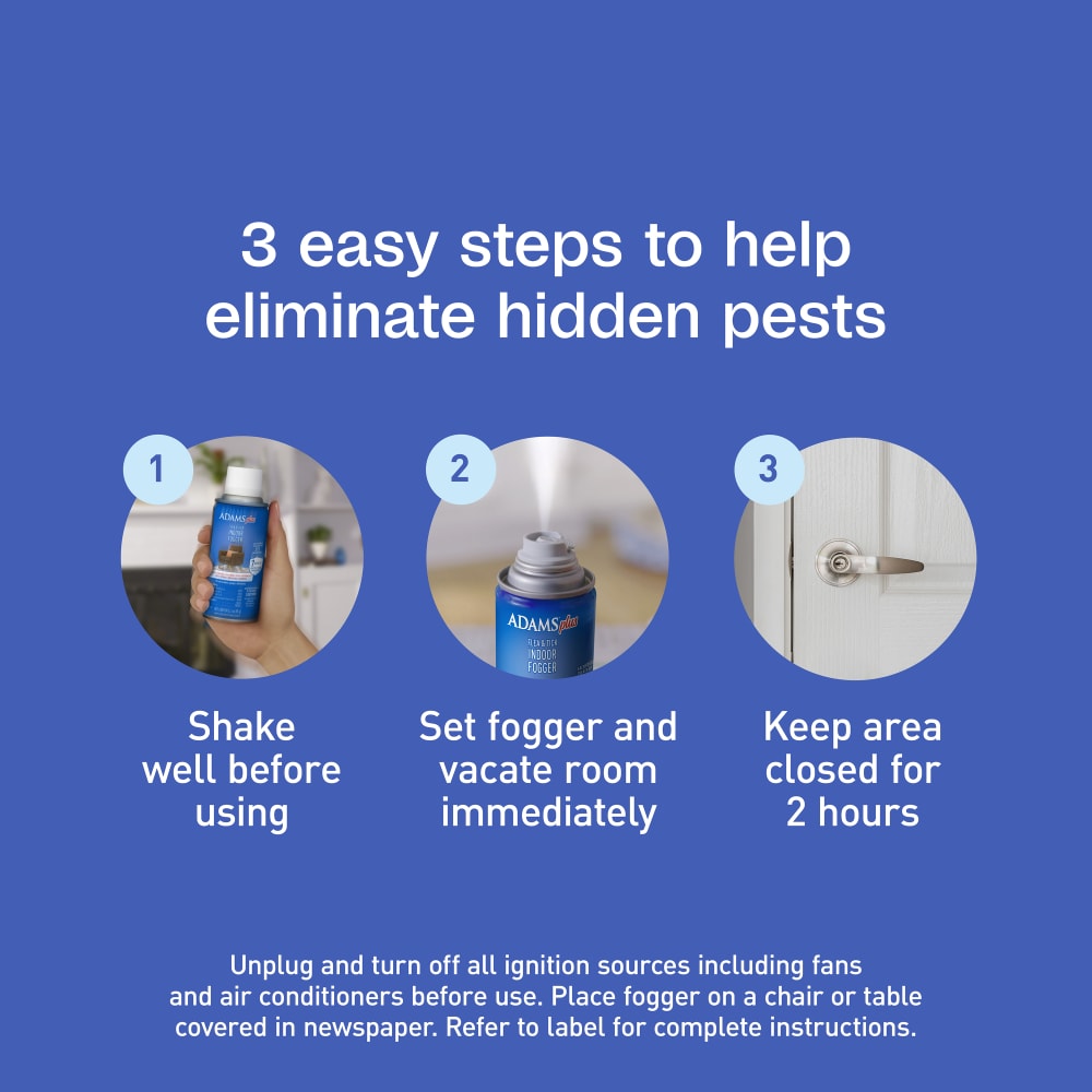 Three easy steps to help eliminate hidden pests