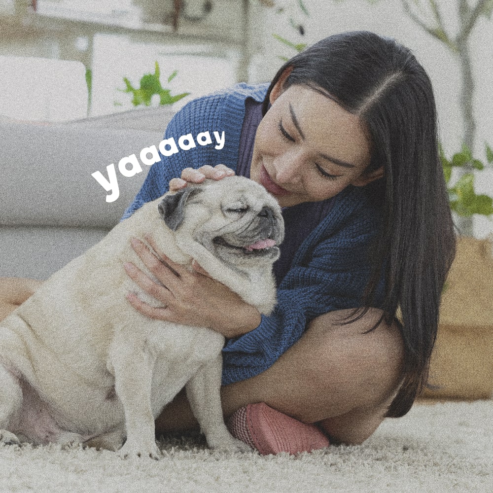 Woman sitting on carpet with a pug
