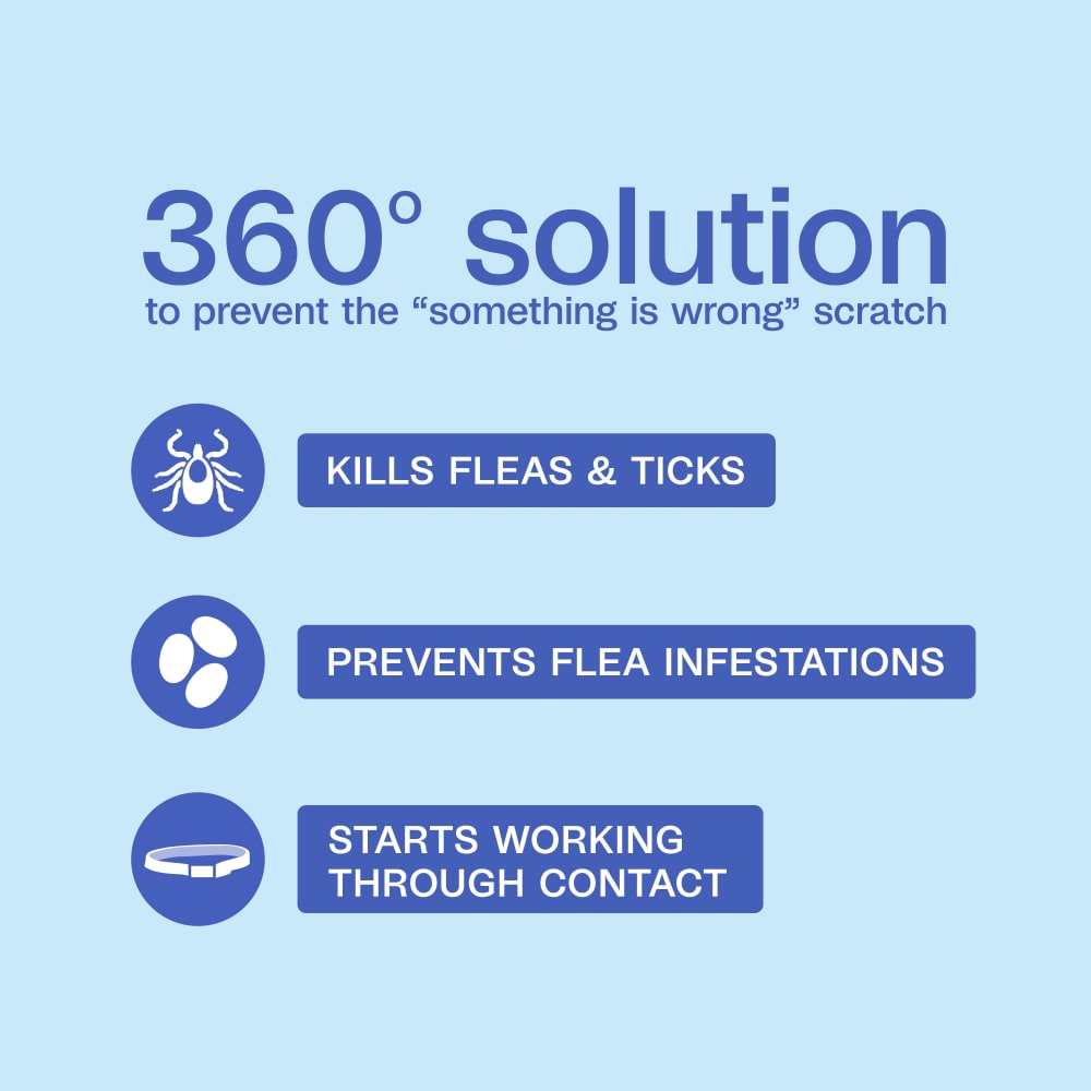 360 solution to prevent the something is wrong scratch