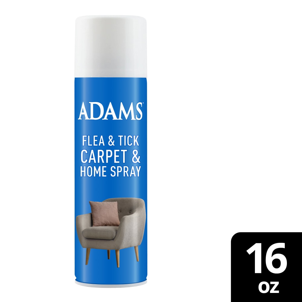 sapm100526563-hero01