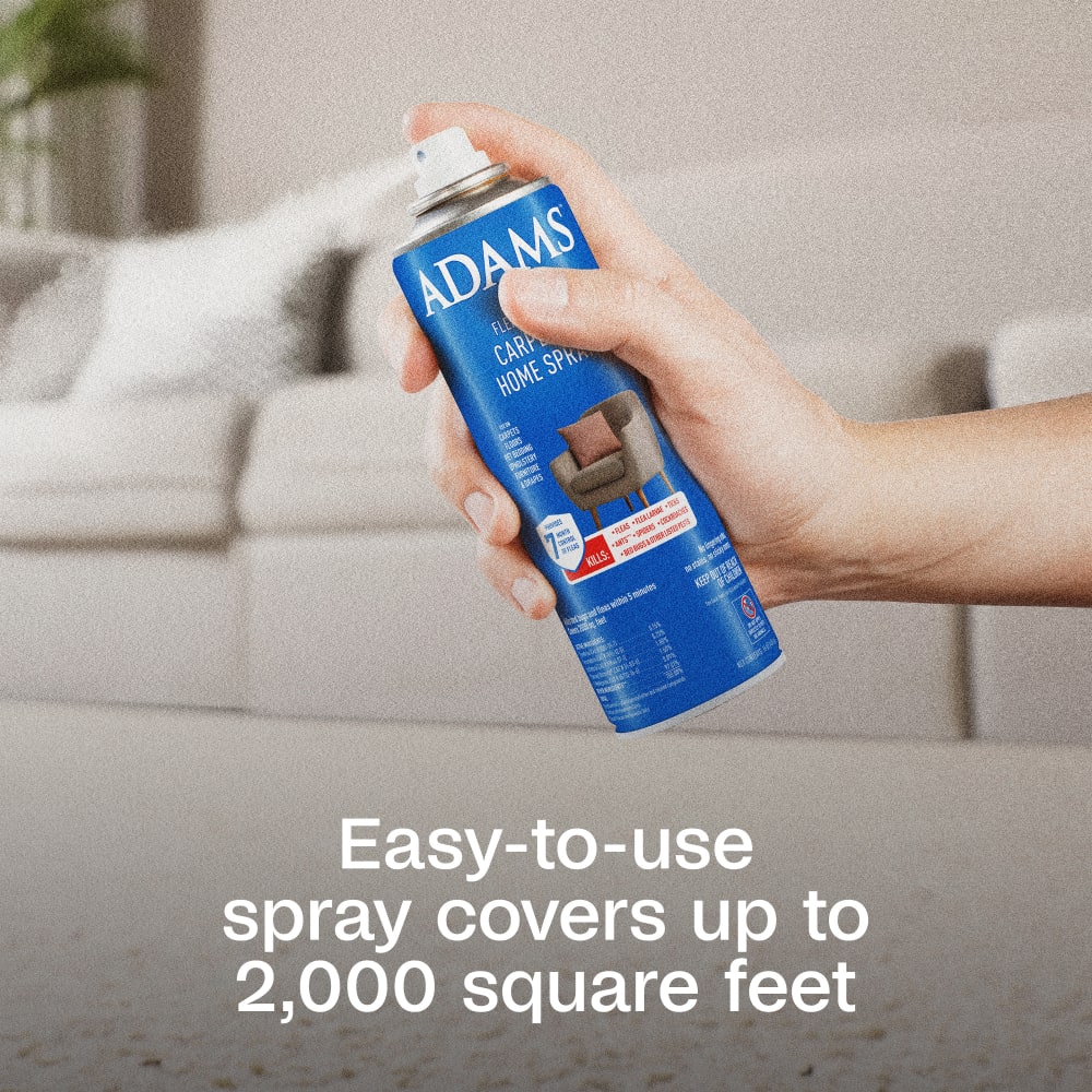 sapm100526563-infographic03