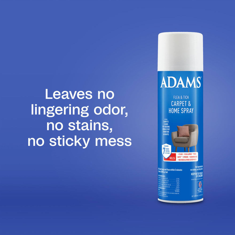 sapm100526563-infographic04