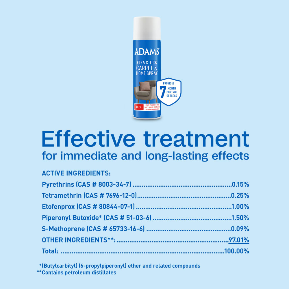 sapm100526563-infographic05