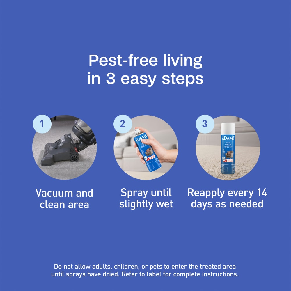 sapm100526563-infographic06