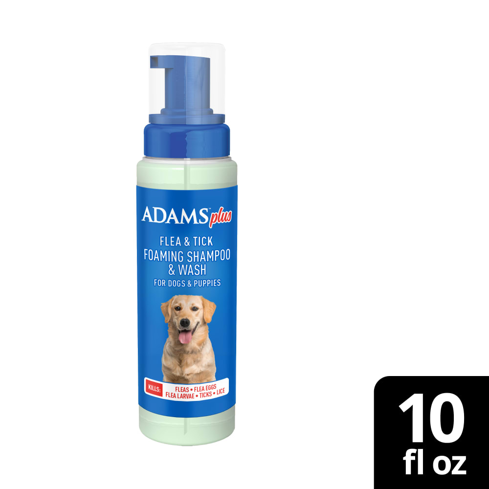 Retail package for adams plus flea and tick foaming shampoo 10 ounces