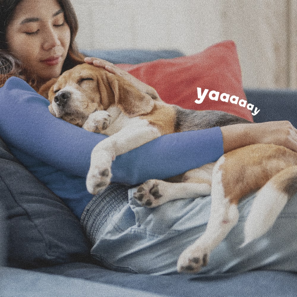 Woman relaxing on couch cuddling sleeping dog