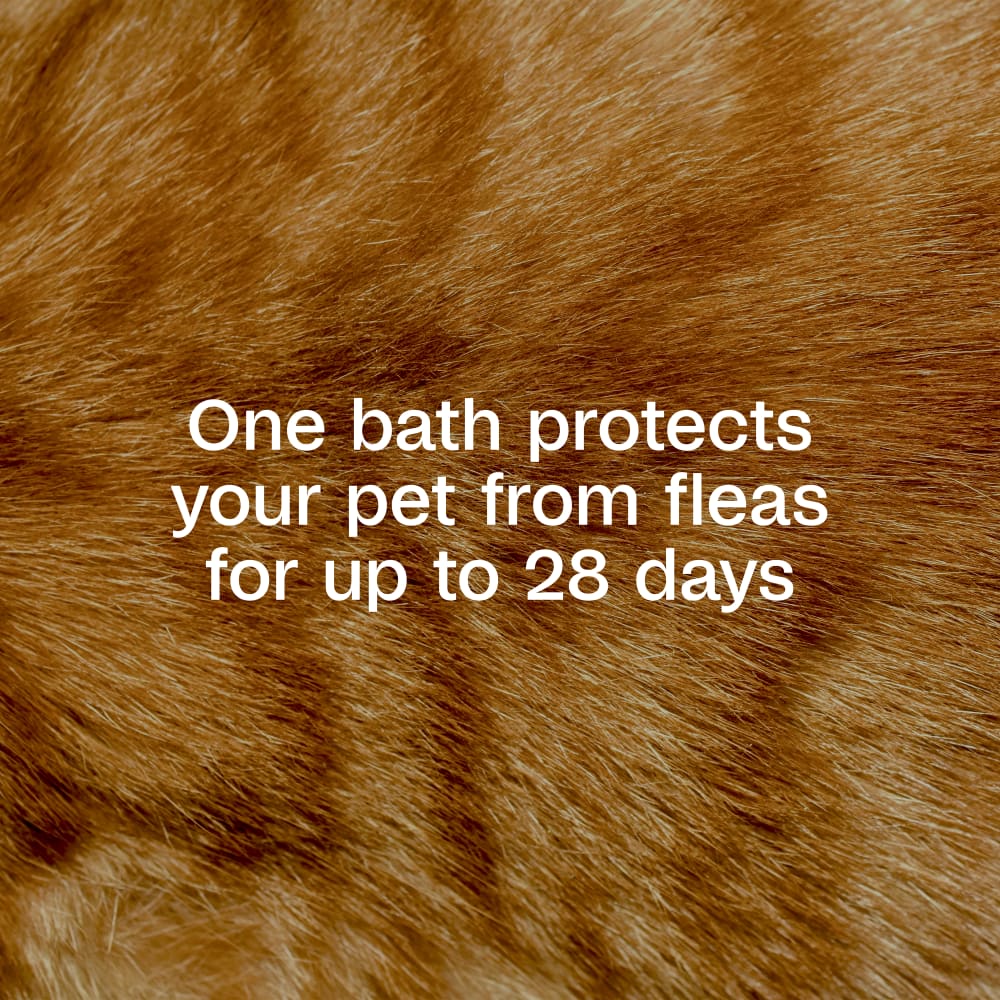 One bath protects your pet form fleas for up to 28 days
