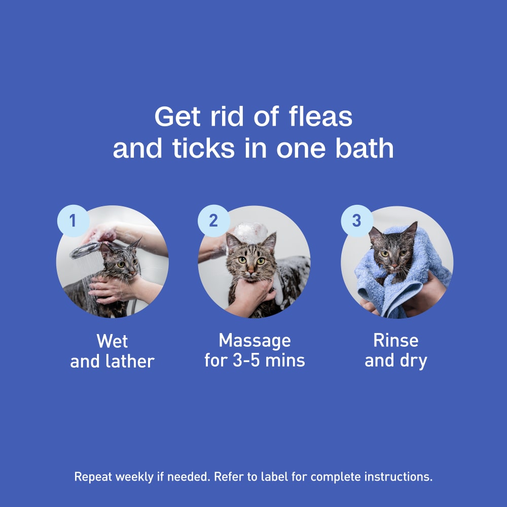 Get rid of fleas and ticks in one bath