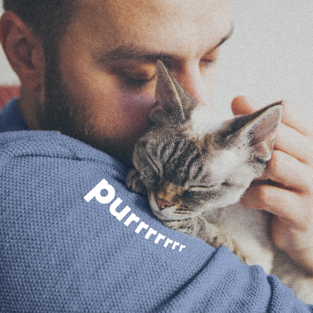 Man happily snuggles with grey cat