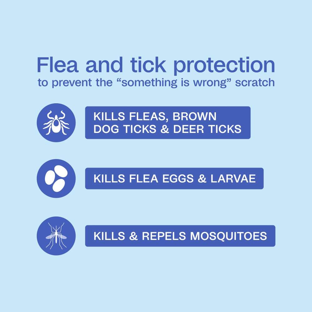 dog-fleatick-infographic01