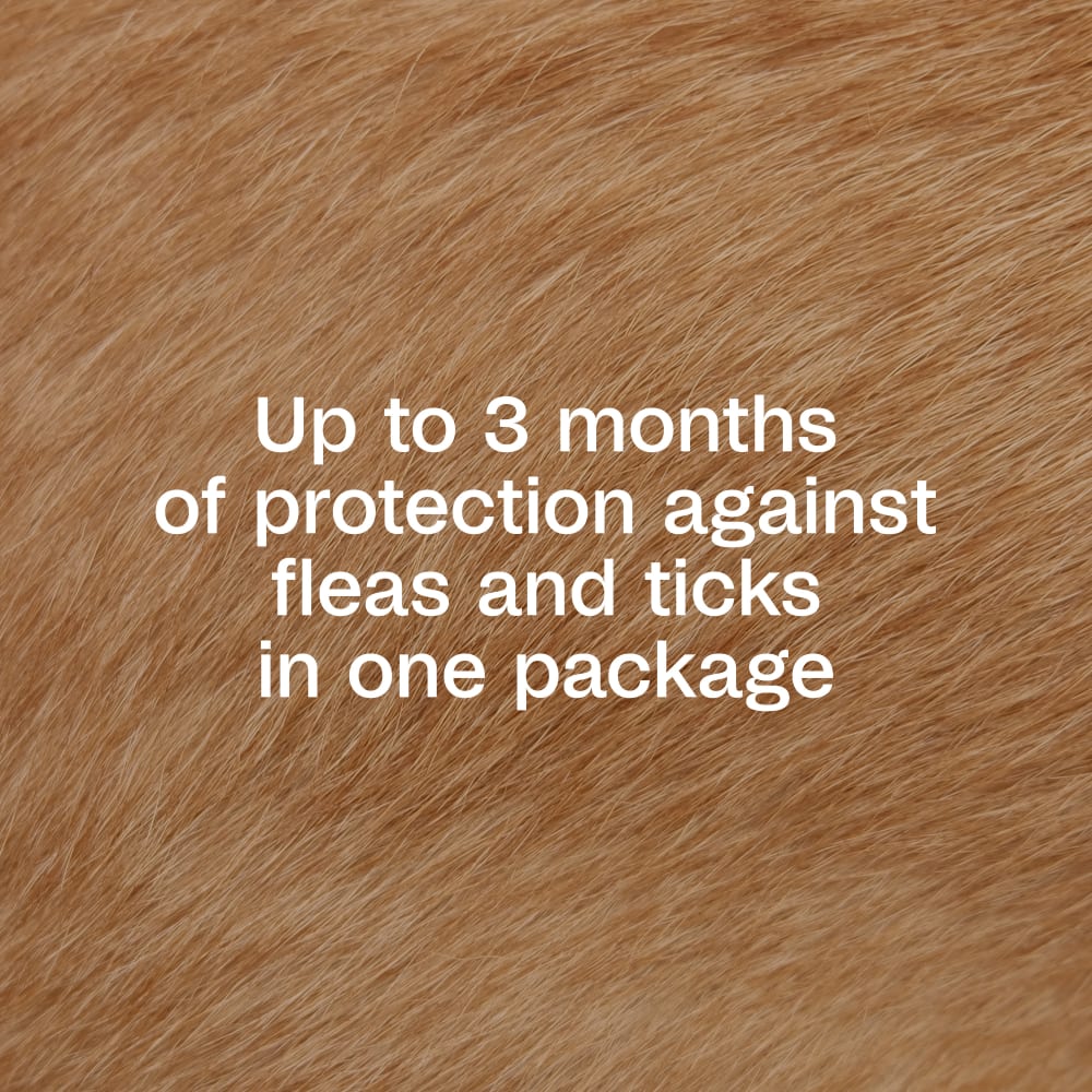 dogfur-protection-infographic02