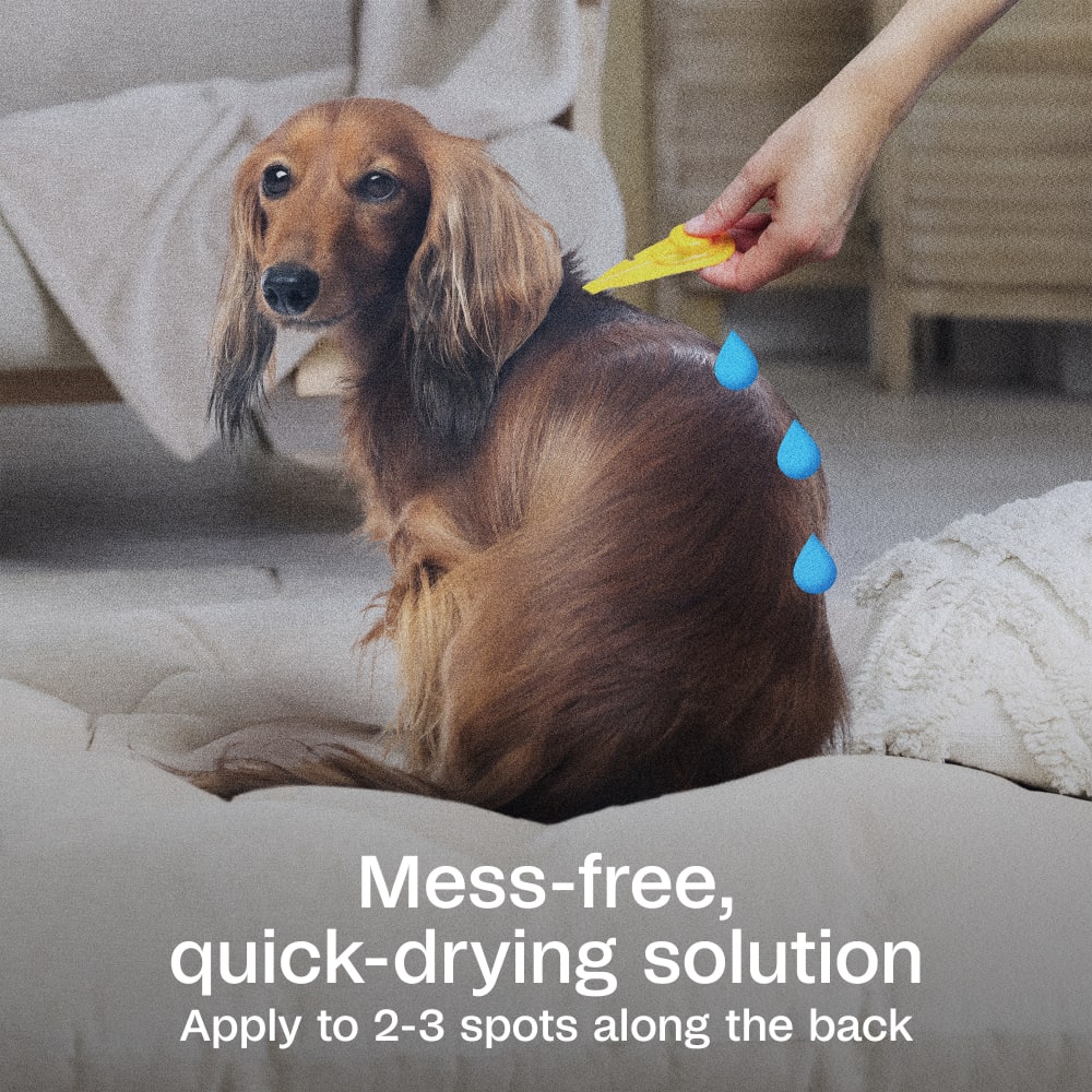 sapm100542204-infographic03