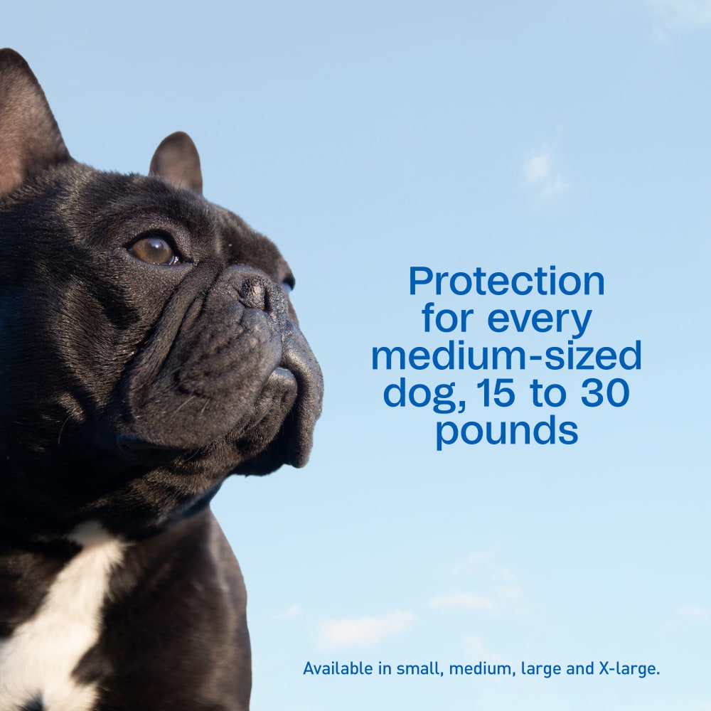 sapm100542204-infographic04