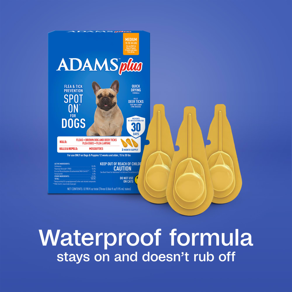 sapm100542204-infographic05