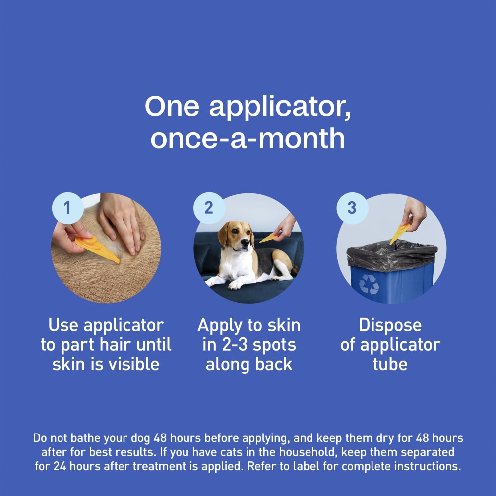 sapm100542204-infographic07