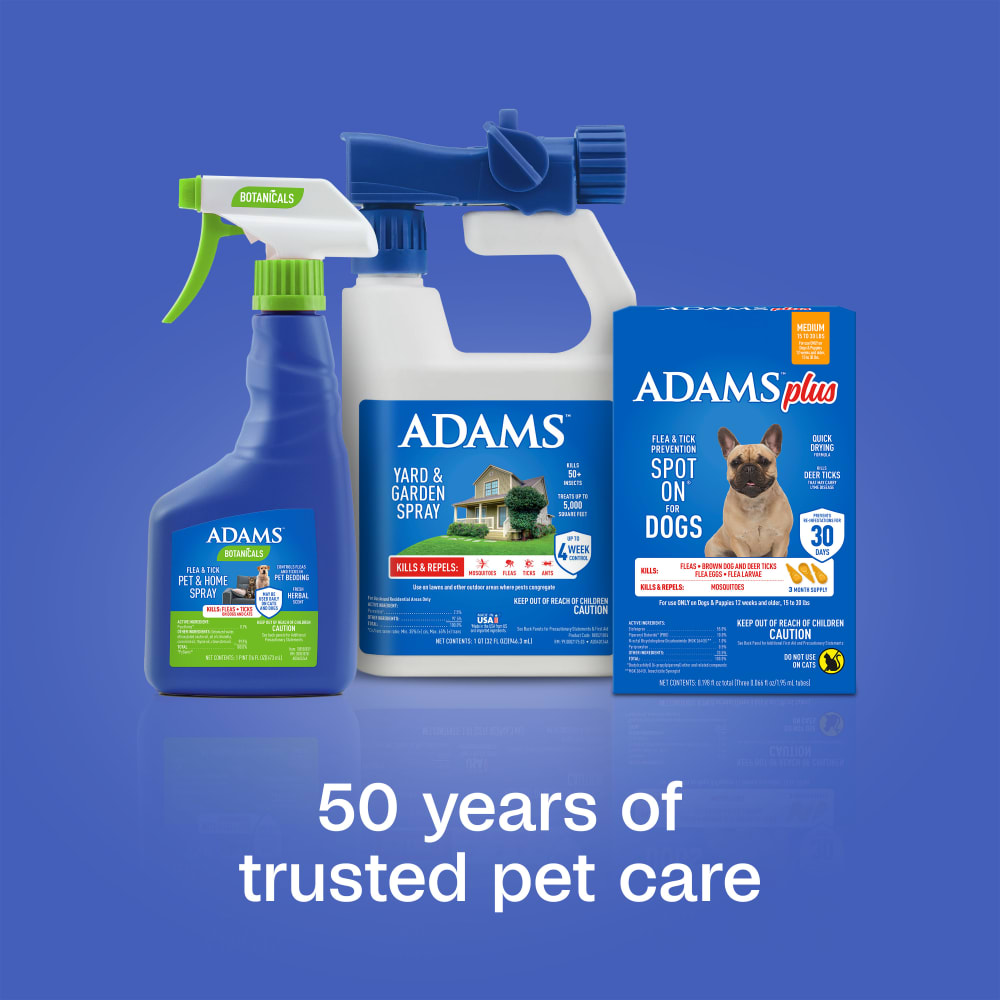 sapm100542204-lifestyle02