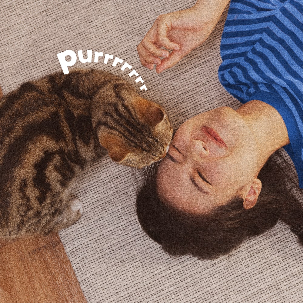 womancatcarpet-lifestyle01