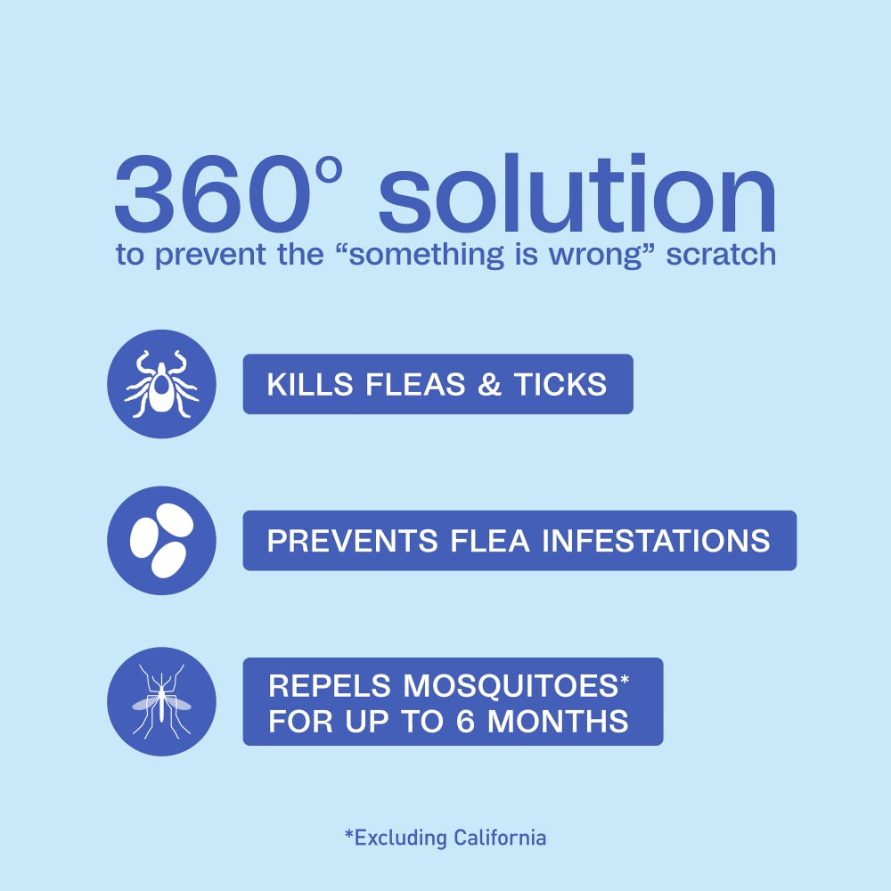 360 solution to prevent the something is wrong scratch