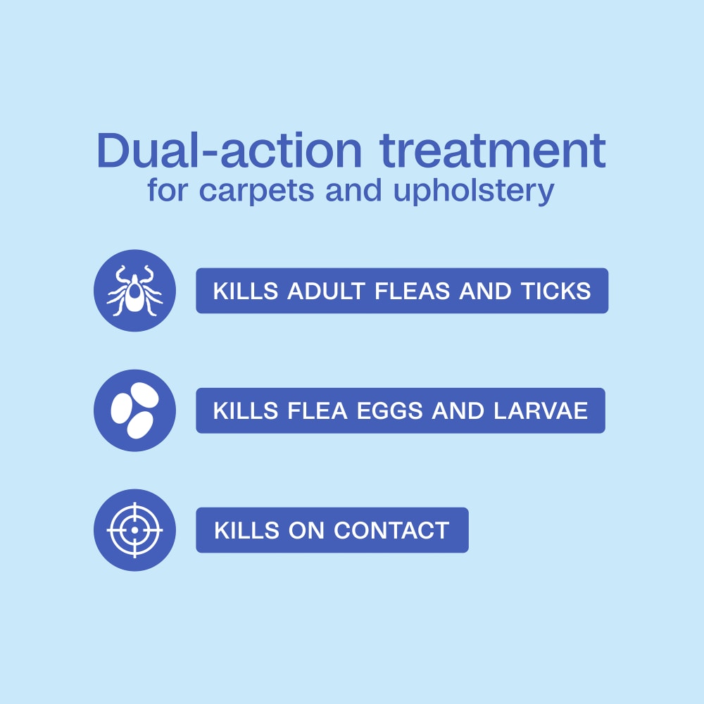 sapm100550957-infographic01