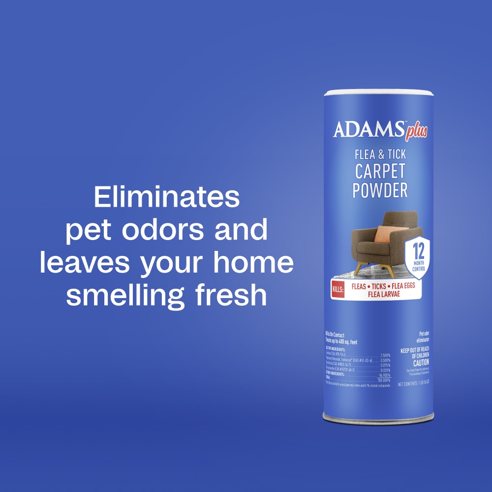 sapm100550957-infographic04