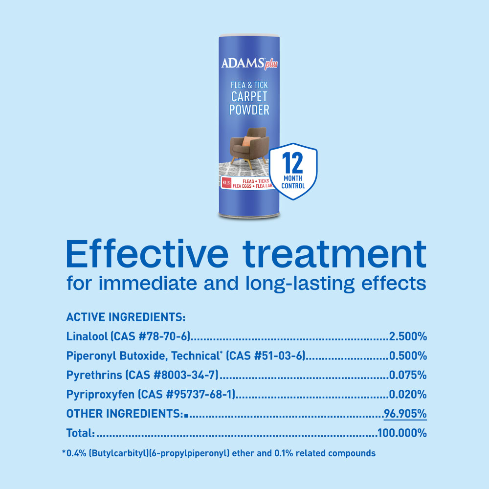 sapm100550957-infographic05