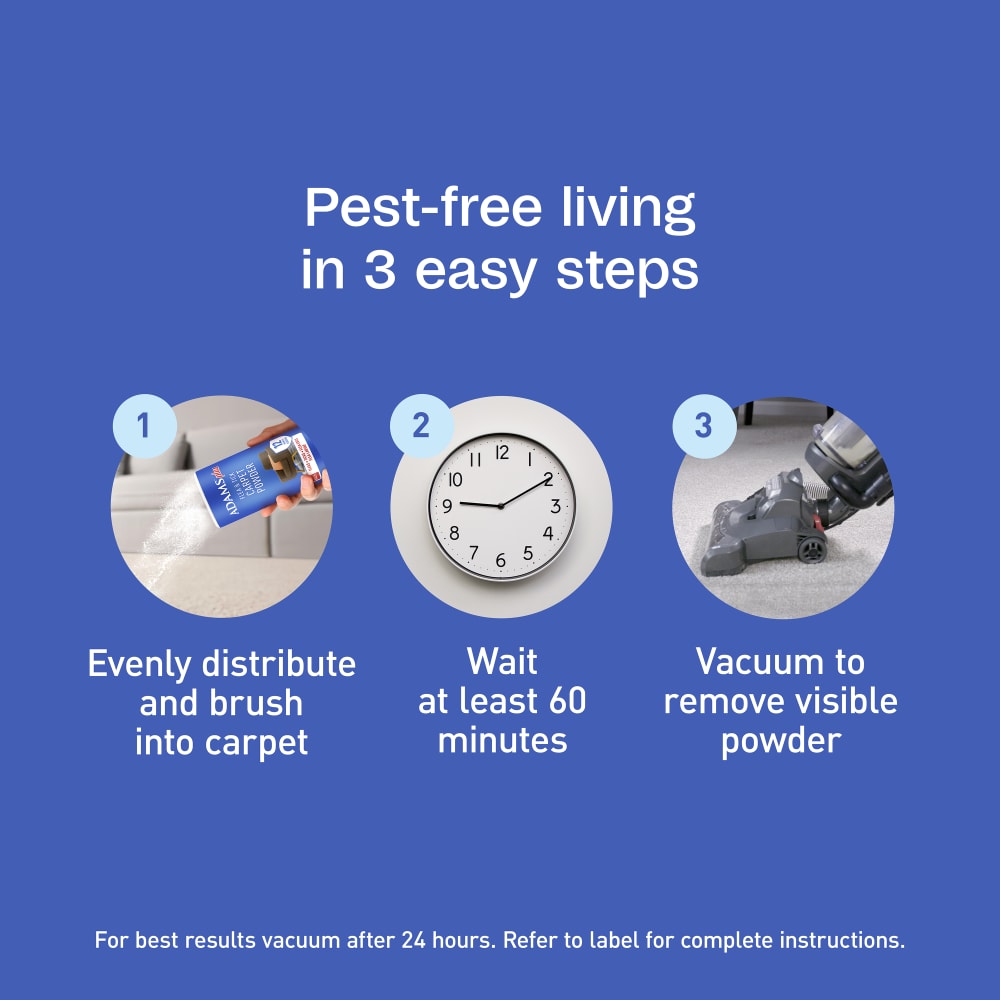 sapm100550957-infographic06