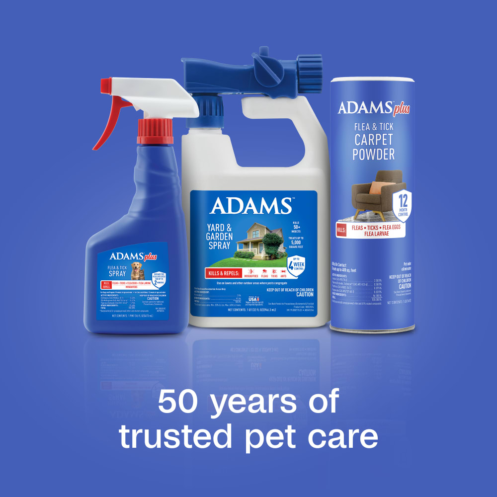 sapm100550957-lifestyle02