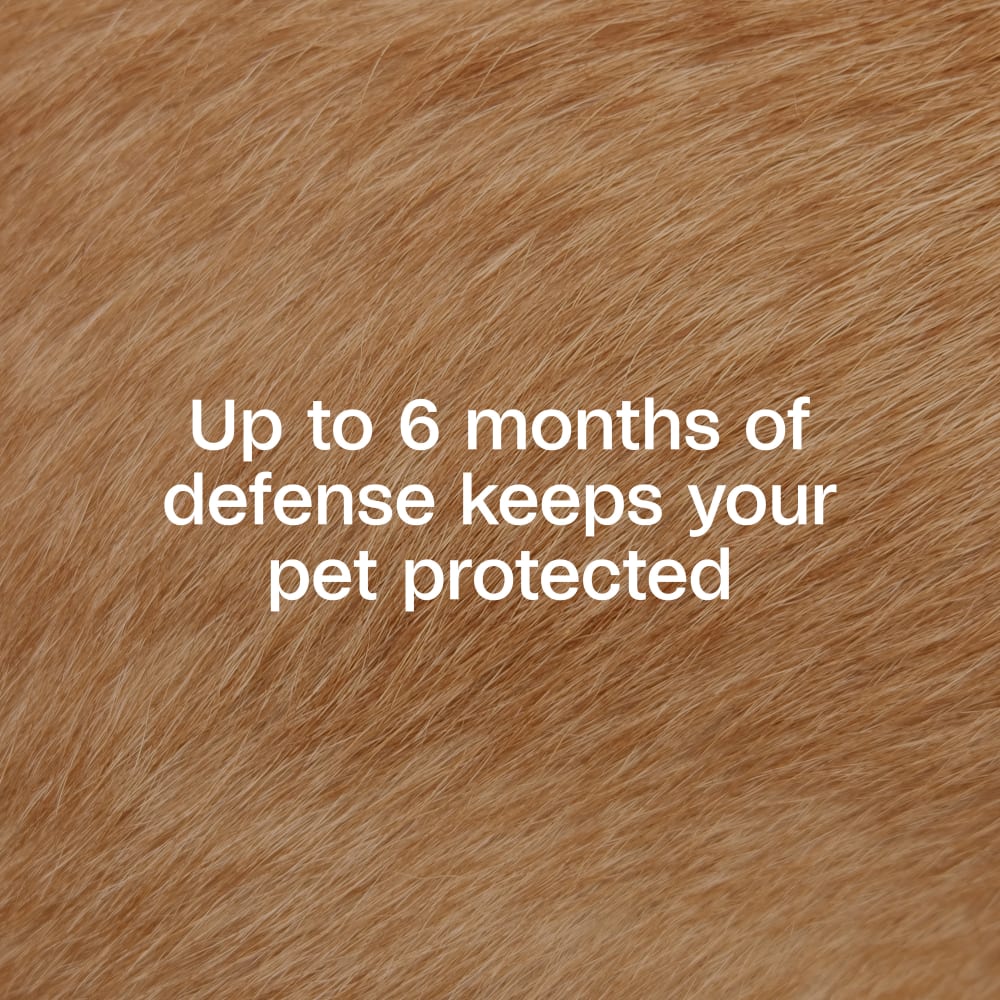 Up to 6 months of defenses keep your pet protected
