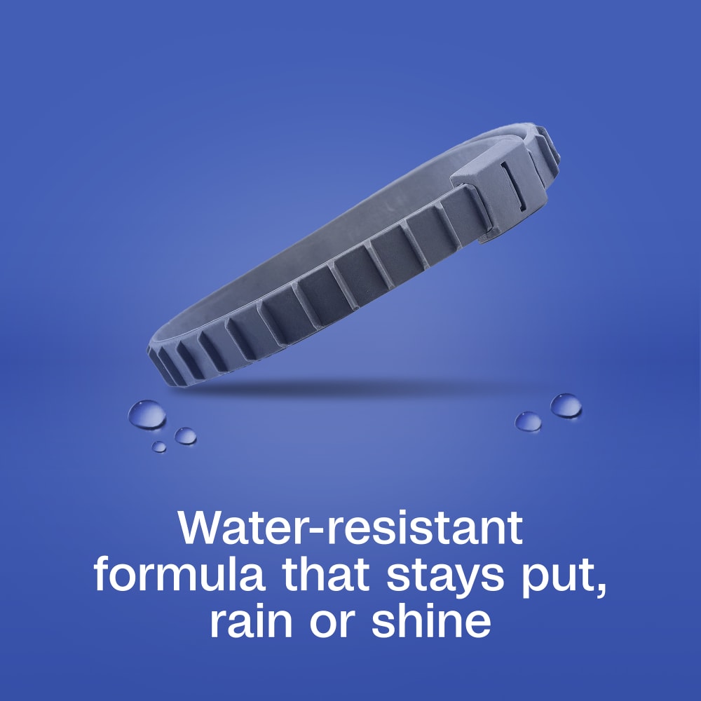 Water resistant formula that stays put, rain or shine
