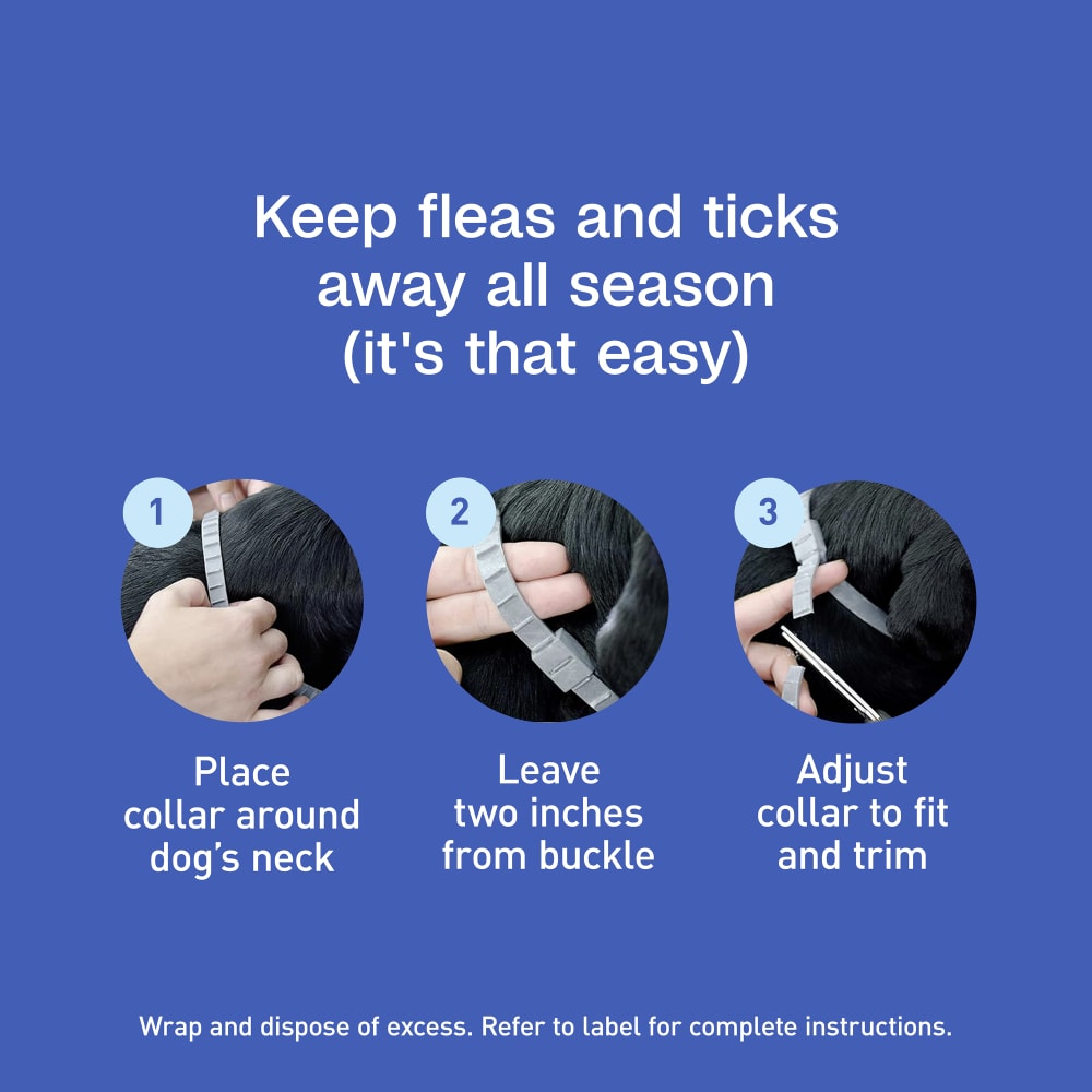 Keep fleas and ticks away all season, it is that easy