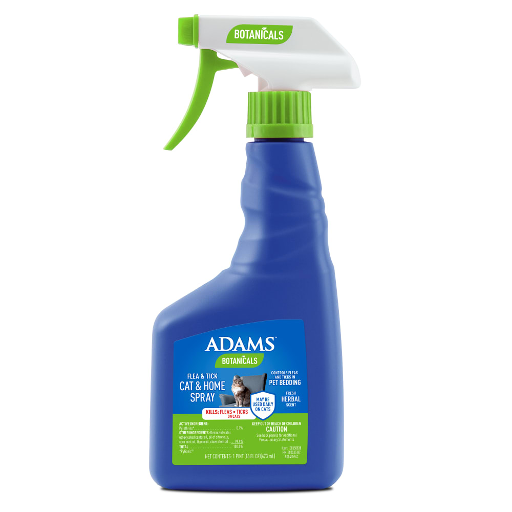 sapm100550838-front01