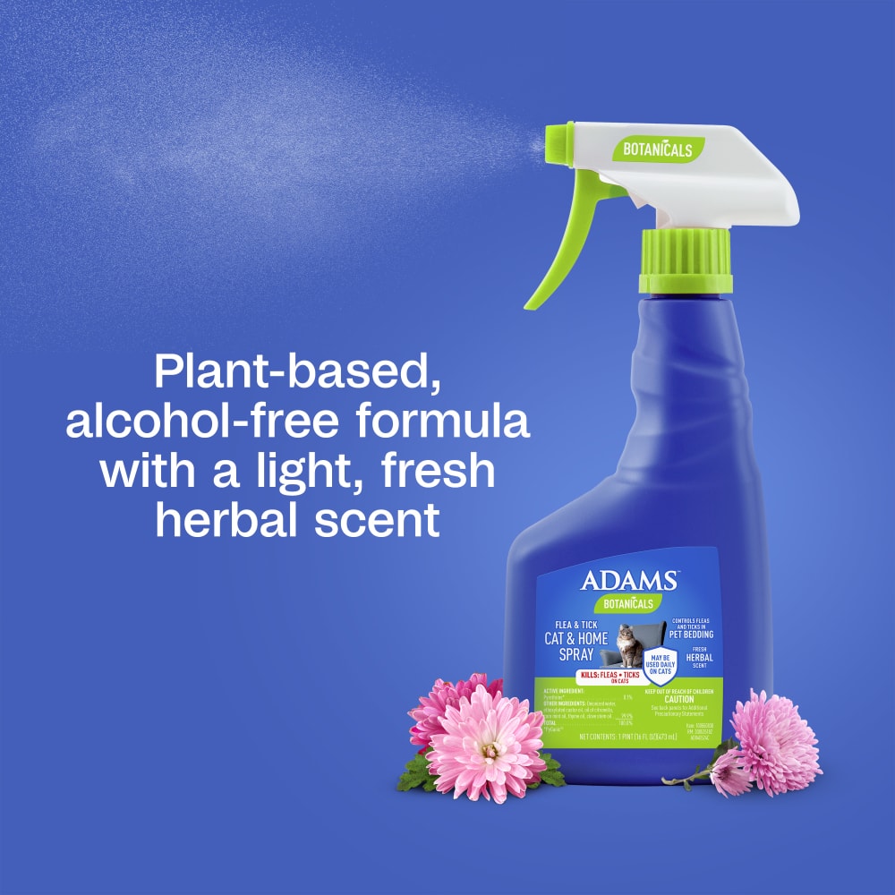 Plant-based, alcohol-free formula with a light, fresh herbal scent