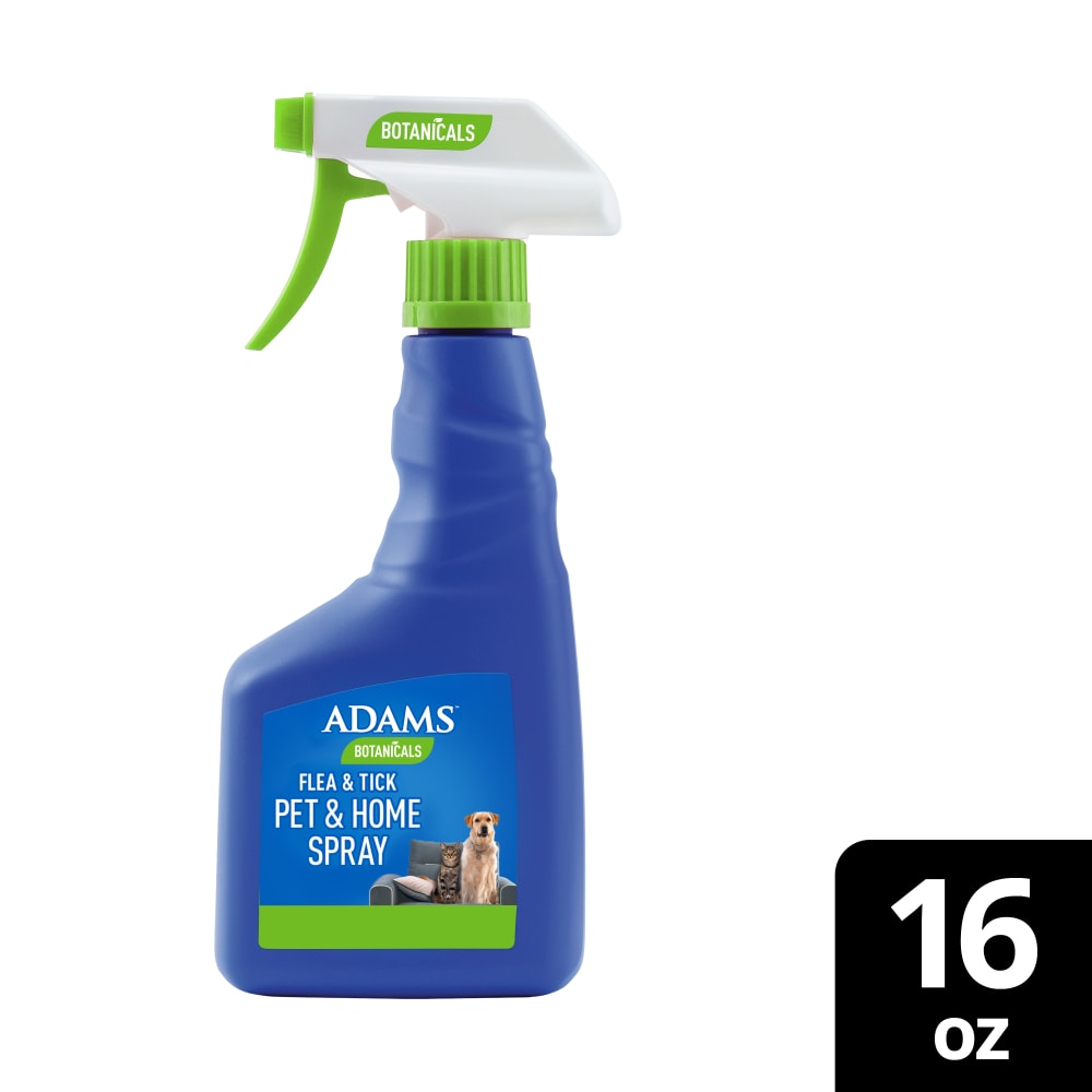 sapm100550839-hero01