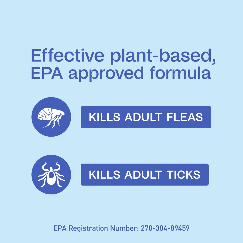 sapm100550839-infographic01