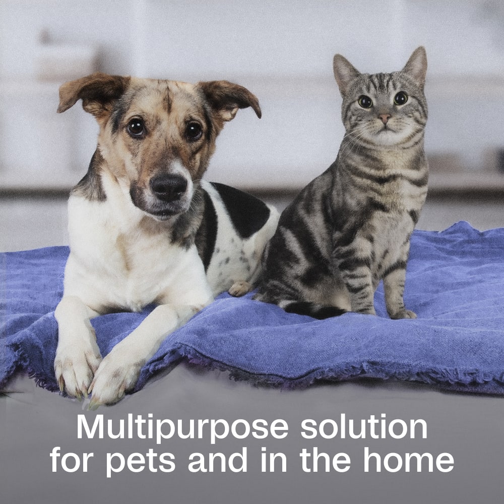 sapm100550839-infographic02